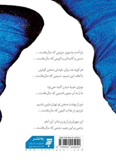 در پیشگاه شمس یکم - پروانه ای روی گلدسته